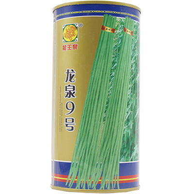 龙泉9号小叶豇豆品种豆角种子