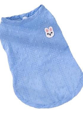猫咪衣服春夏季防掉毛银渐层布偶