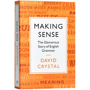 理解 英语语法的故事 英语原版 Making Sense The Glamorous Story Of English Grammar 轻松有趣学语法 搭DK英语语法指南