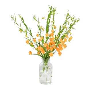 日本宫灯百合进口鲜花春明媚鲜花家庭办公室鲜花花束顺丰包邮北京