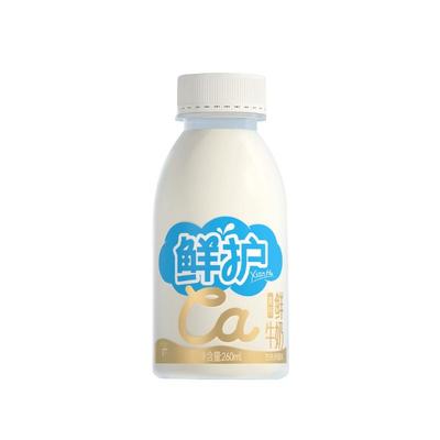 西湖牌顺丰冷链高钙鲜牛奶260ml