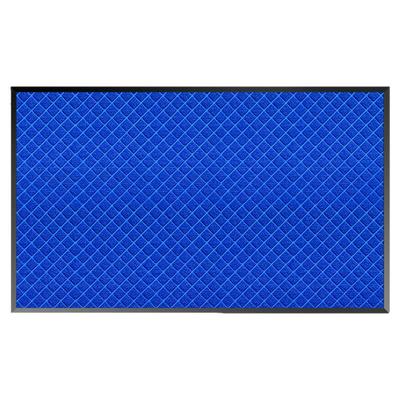 高级感入户门地垫家用地毯