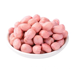 当季新货花生米不带壳粉皮花生米颗粒饱满农家精选