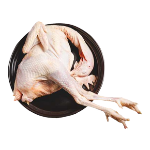 沂蒙山新鲜现杀老母鸡土鸡农家散养走地鸡跑山柴鸡笨鸡煲汤整只