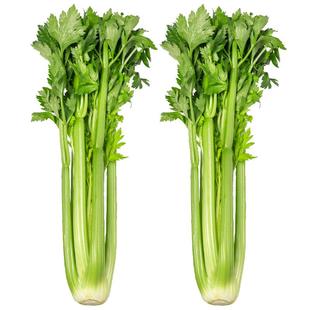 【顺丰快递】美邻惠享家新鲜西芹大棵半叶芹菜榨汁用山东青菜蔬菜