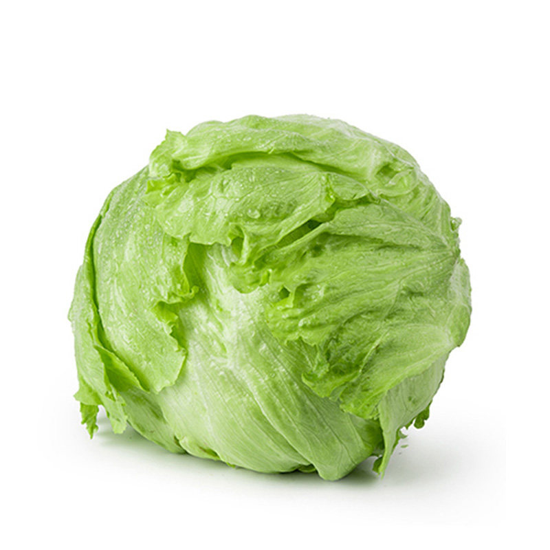 老一特卖 新鲜球生菜 汉堡圆生菜 沙拉蔬菜 西生菜 500g