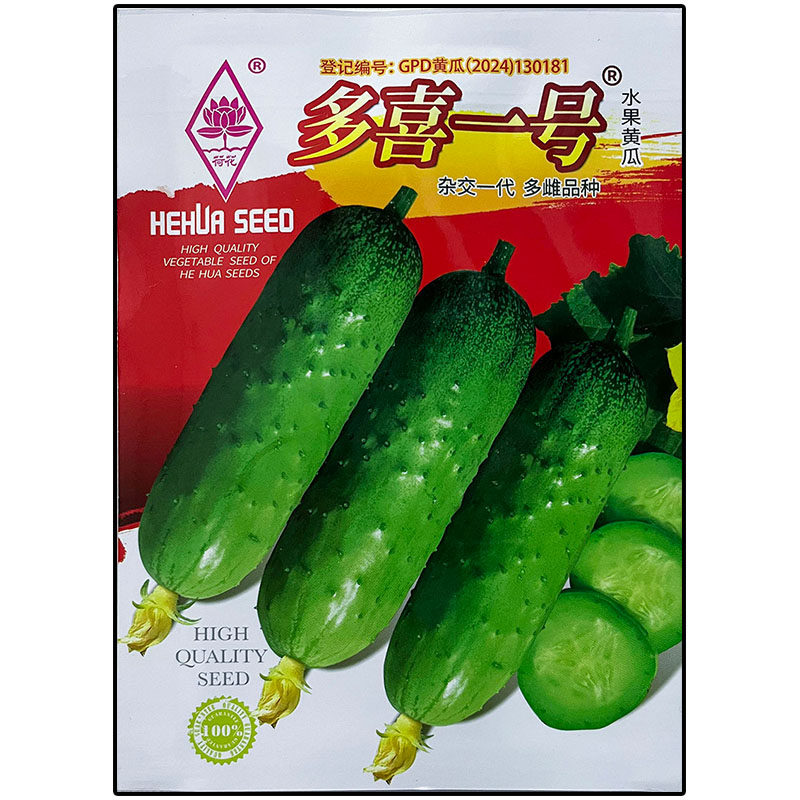 多喜一号小水果黄瓜种子杂交高产