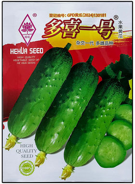 多喜一号小水果黄瓜种子杂交高产
