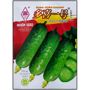 多喜一号小水果黄瓜种子杂交高产