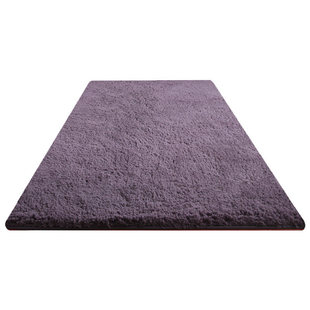 冬天地毯加厚毛绒卧室床边毯可坐可睡公主房间装饰毛茸茸保暖地垫