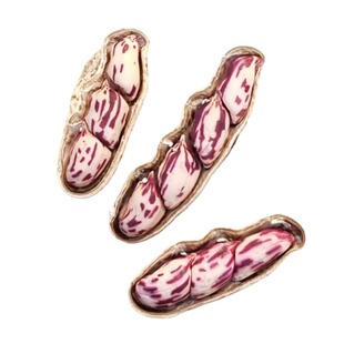 七彩花生米云南特产带壳晒干2026新货花生粒生花生原味五彩花生