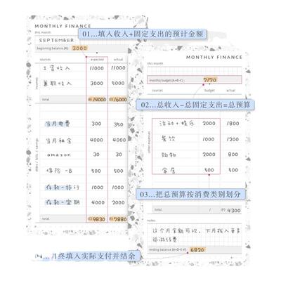 记账手账pinkline理财活页替芯