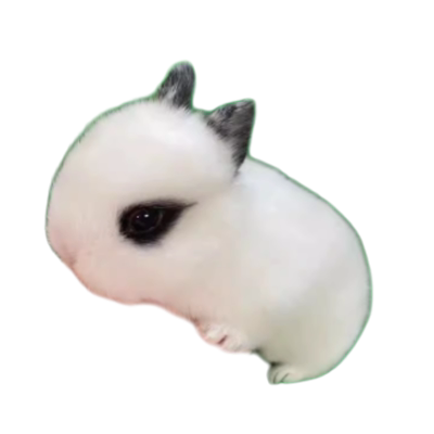 宠物兔活物茶杯长不大不咬人