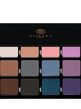 Viseart VisePRO专业彩妆师经典12色眼影盘磁吸大盘新版包装24g