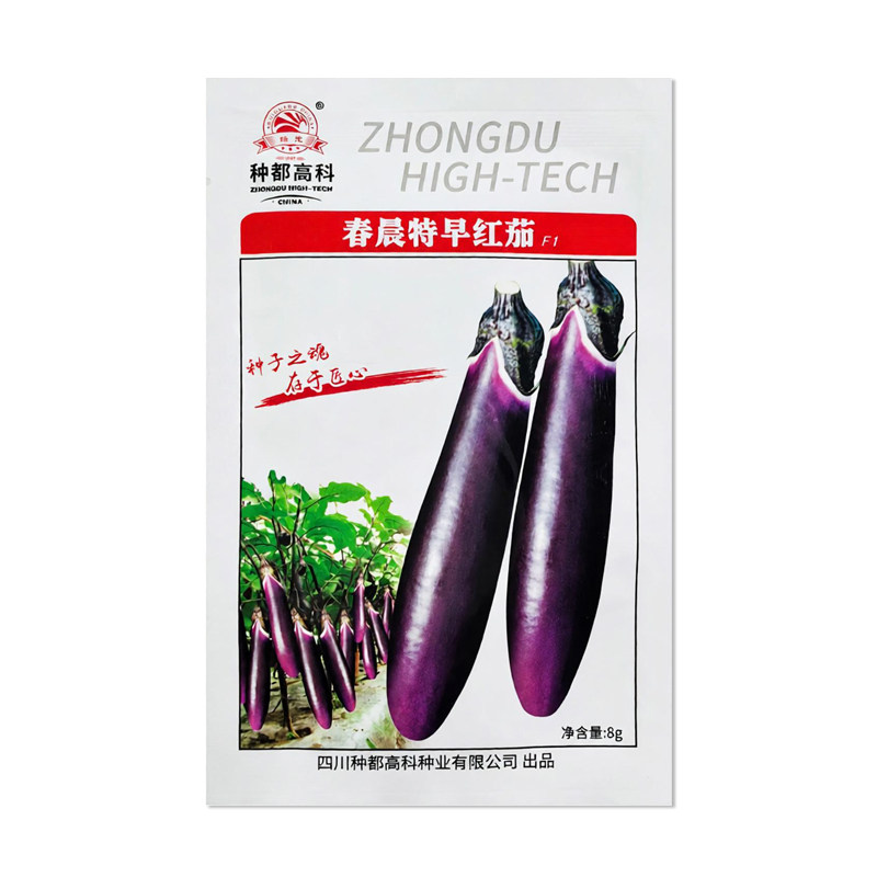 种都高科春晨特早红茄子种子