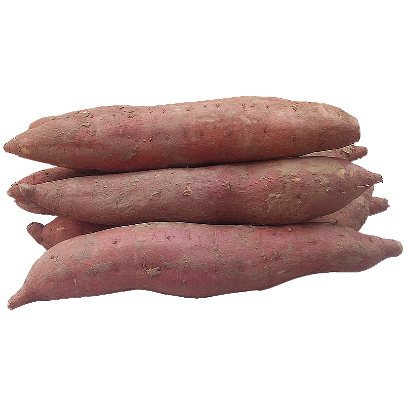 新鲜红薯陕西沙地板栗薯小香薯红皮白心山芋地瓜番薯秦薯5斤包邮