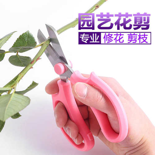 插花剪花艺剪刀宽头修树枝花枝修枝道剪花园艺工具花家用花鲜花剪