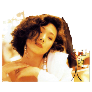 官方正版 林忆莲专辑 爱上一个不回家的人  你是我的男人 CD唱片