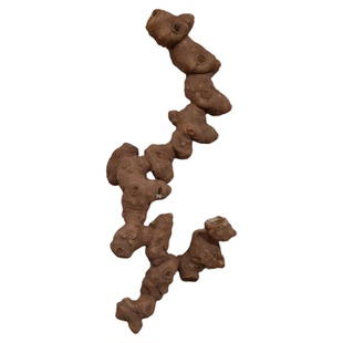 十年老黄精多花姜型甜黄精中药材药食同源食材老虎姜九蒸九晒泡酒