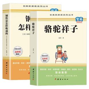 钢铁是怎样炼成的骆驼祥子七年级必读正版下册海底两万里原著完整版七八年级必读的课外书初一7下名著语文书目初中生课外阅读书籍