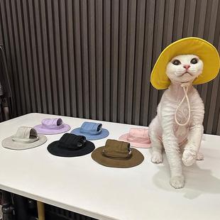 任发财经典 太阳帽无毛猫衣服德文衣服斯芬克斯猫可爱 基础款