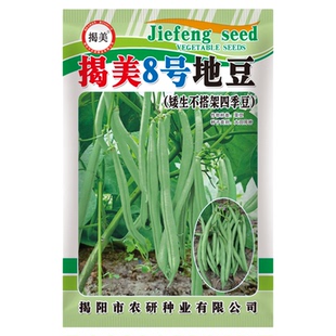 无架地豆角四季豆种子矮生不搭架阳台盆栽绿植庭院蔬菜种子孑春播