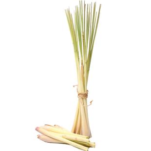 【廊下滋味】新鲜香茅草500g 柠檬草西餐香料冬阴功汤食材料