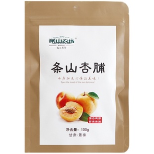 条山农场条山杏脯甘肃特产杏果脯蜜饯水果干杏肉脯零食100g袋
