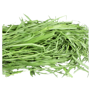 兔子烘干大麦草段 香脆绿口感赞龙猫兔子荷兰猪天竺鼠超喜欢吃