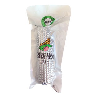 榛纯甜糯玉米棒儿童香软新品非转基因铝箔包装有机种植东北小粒黄