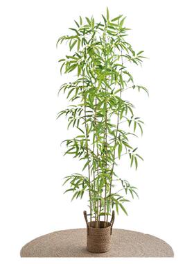 仿真绿植竹子客厅装饰隔断屏风