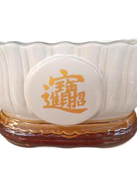 招财进宝陶瓷花盆耐摔发财树