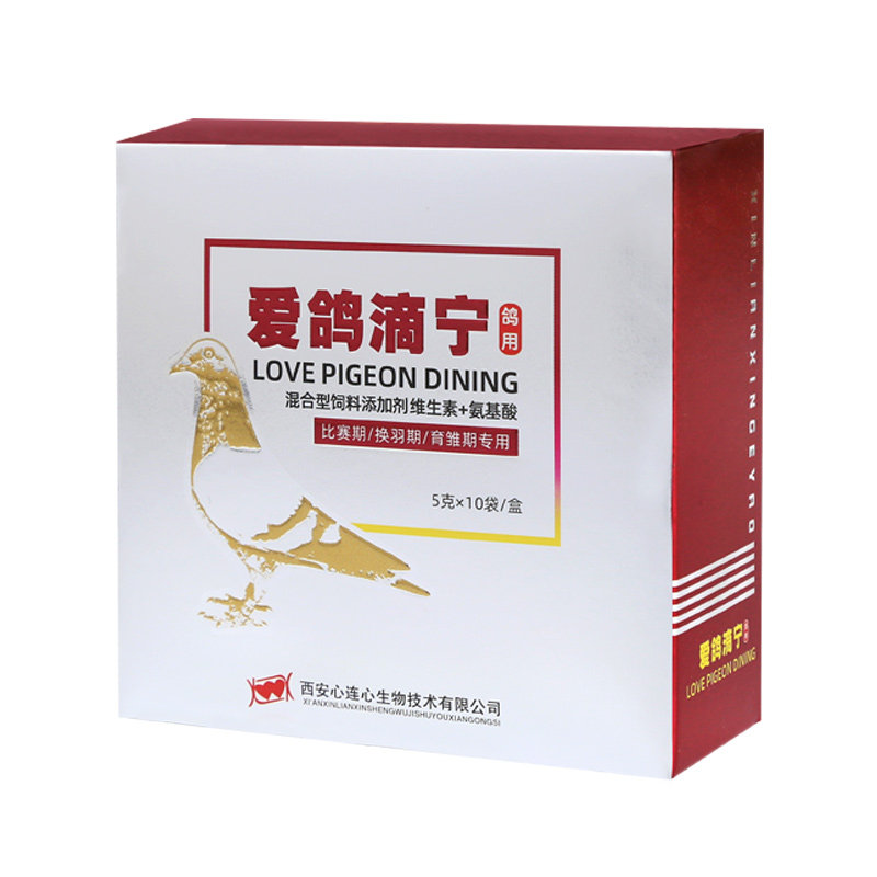 鸽用心连心爱鸽滴宁毛滴虫鹦鹉鸟