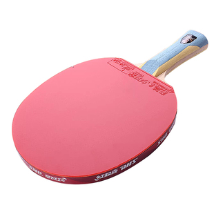 红双喜乒乓球拍正品6星级专业单拍横拍直拍初中小学生国家队专用
