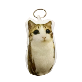 meowl猫头鹰语音钥匙扣学生创意潮流包挂件饰品玩偶按压小曲发声
