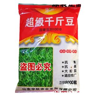 超级千斤豆黄豆种子早黄豆种子中黄13大豆种籽中黄57高产早熟抗病