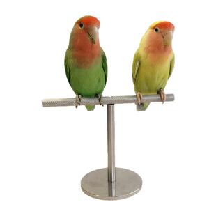 鹦鹉训练桌面站架玄凤牡丹虎皮磨爪不锈钢鸟用站杆中小型结实耐用