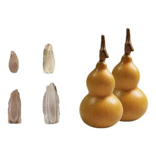 天然长嘴小八宝葫芦种子手捻天津嘴文玩宫廷天坛葫芦籽特大葫芦子