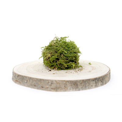 仓鼠可食用杨木除臭花草垫料