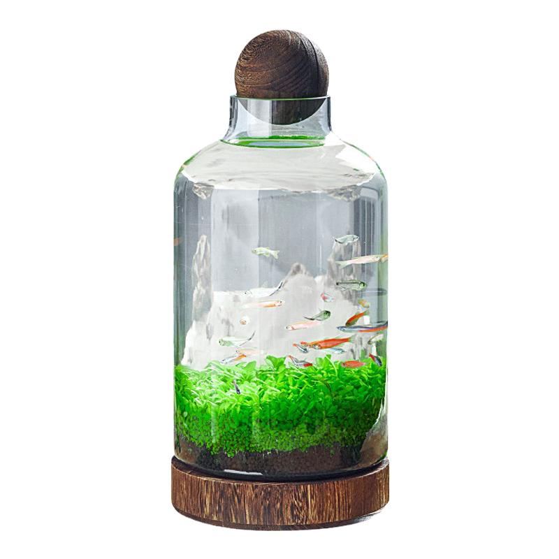 微景观生态鱼缸高级感自循环桌面创意造景免换水培绿植鱼虾办公室