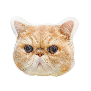 定制猫咪狗狗抱枕异形宠物DIY动漫公仔礼物照片仿真人形靠垫玩偶