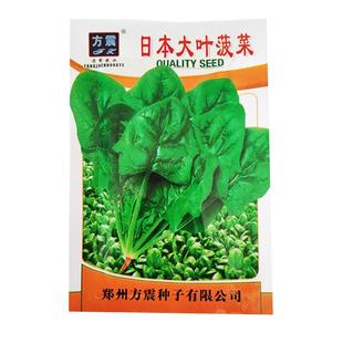 蔬菜种子大全四季播菜种籽盆栽阳台庭院菜园香菜小葱青菜玉米种子