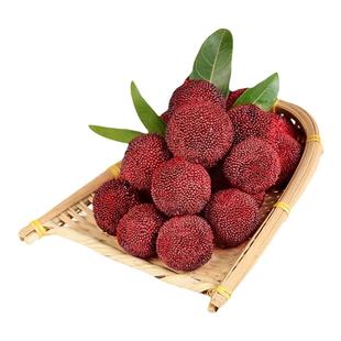 冰杨梅新鲜速冻冰镇杨梅球水果特大果肉冷冻零食新鲜水果顺丰包邮