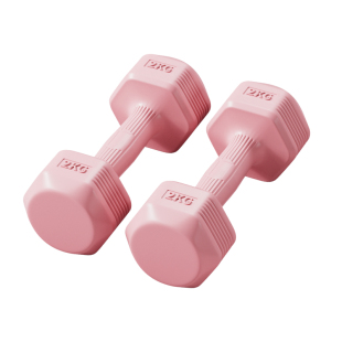 哑铃女士健身家用器材杠铃男士青少年锻炼健身训练小哑铃2kg一对