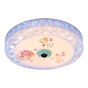 新款蓝牙音乐圆形卧室吸顶灯led现代简约浪漫房间阳台书房遥控灯