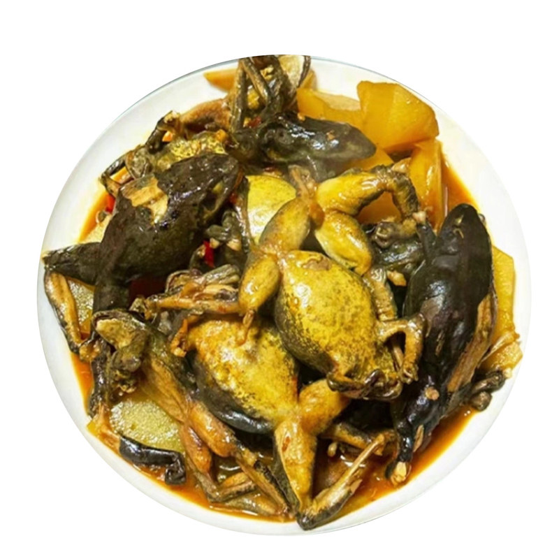 林蛙蛤蟆鲜活满籽满油顺丰包邮
