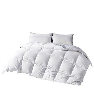 五星级酒店京希尔顿匈牙利白鹅绒冬被抗菌羽绒春秋被子芯加厚保暖