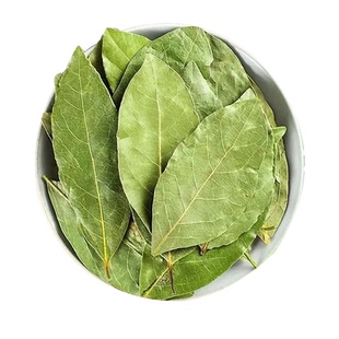 新鲜头茬香叶新干货广西新货月桂叶无硫香叶调料卤料商用食用批发