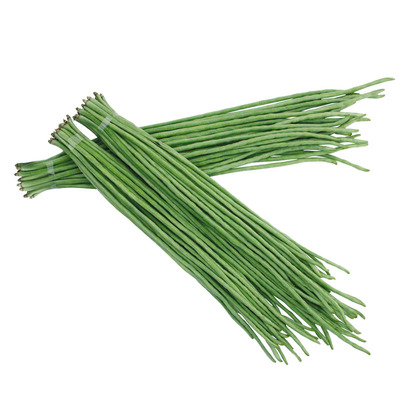 豆角种子长豇豆种籽绿白条顺直不鼓豆油豆架豆蔬菜种特选张塘王