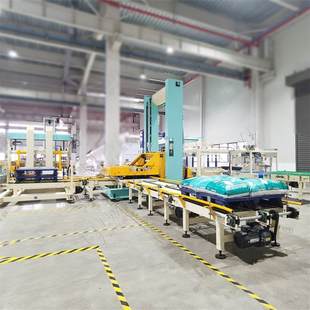 尼为机械全自动码垛机源头厂家侧推低位龙门式纸箱码垛机非标定制